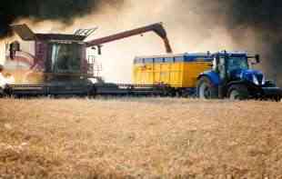 Srpska pšenica na sigurnom putu ka Italiji 