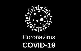 U Srbiji 539 novih slučajeva koronavirusa, preminulo još sedam osoba