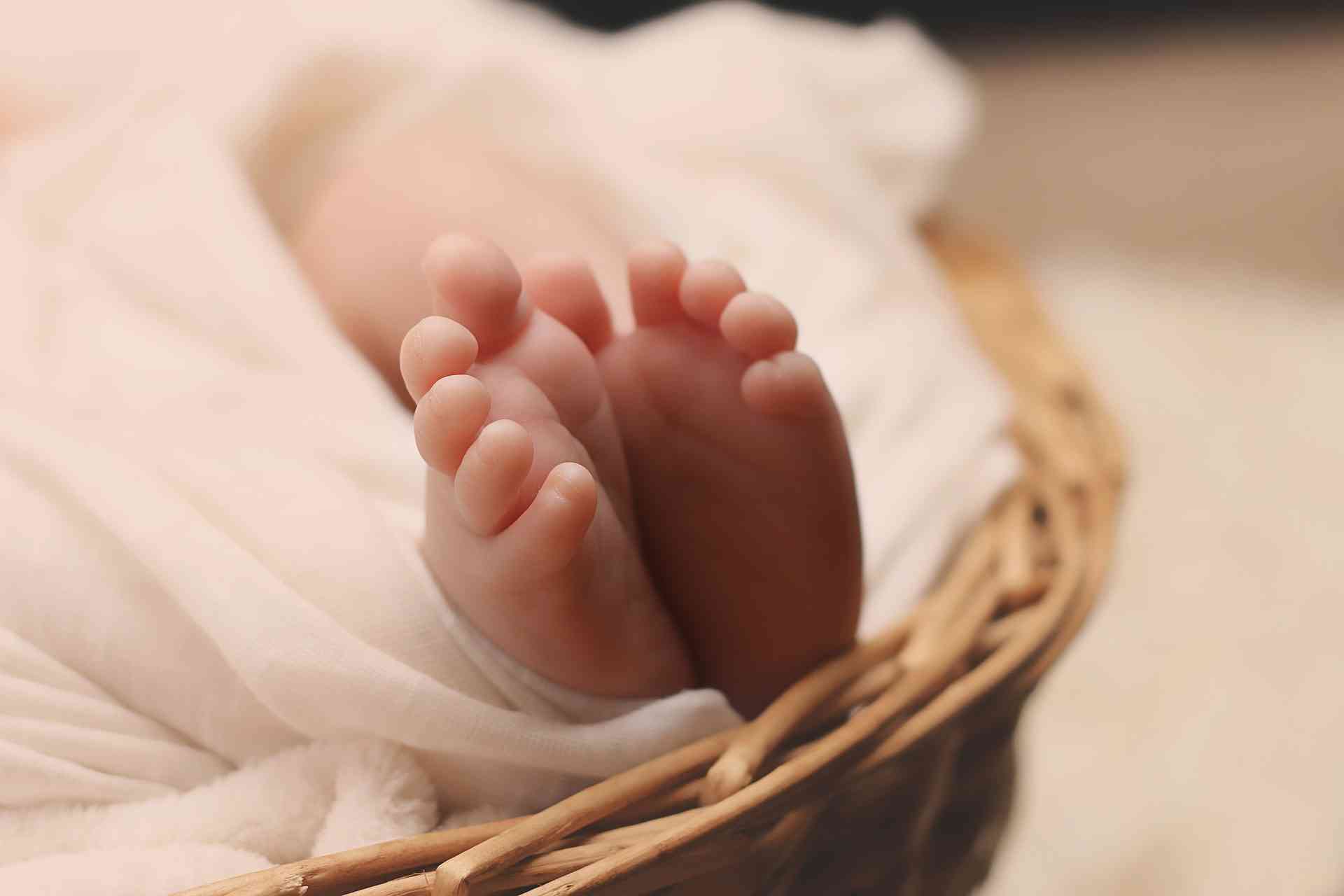 BEJBI BUM U NOVOM SADU: Za dan rođeno 31 beba