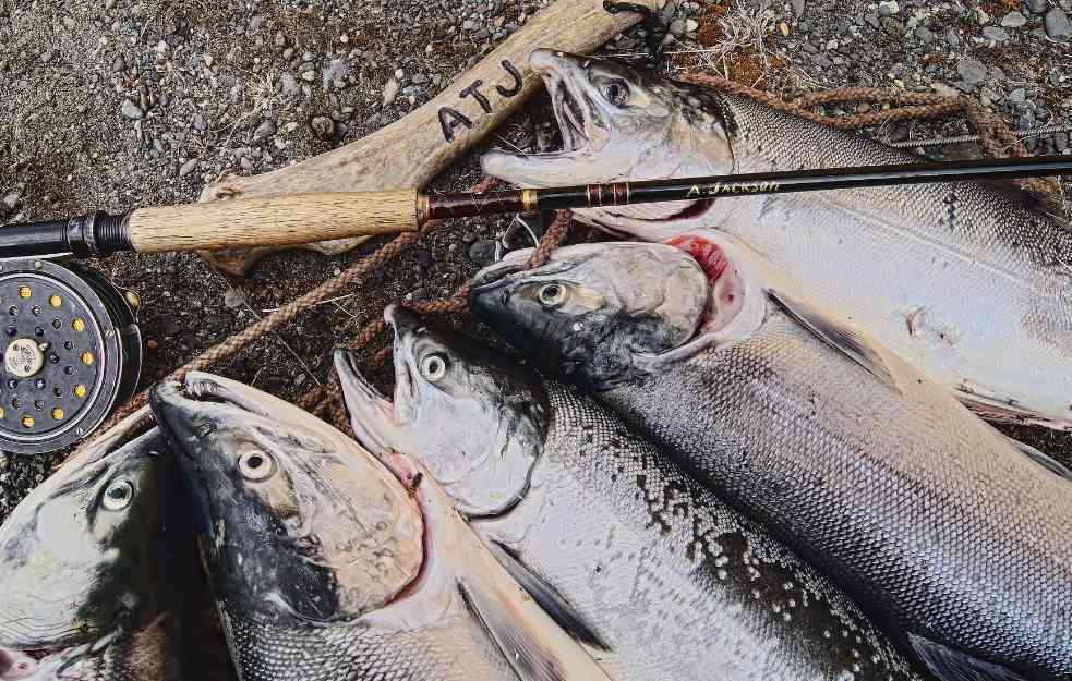 OPADA TREND RIBARENJA: Šta se dešava sa srpskim ribarstvom poslednjih 20 godina?