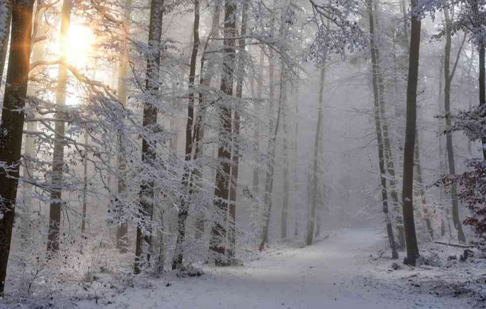 POTPUNO ZAVEJANI: Nekoliko puteva u Crnoj Gori zatvoreno zbog snega
