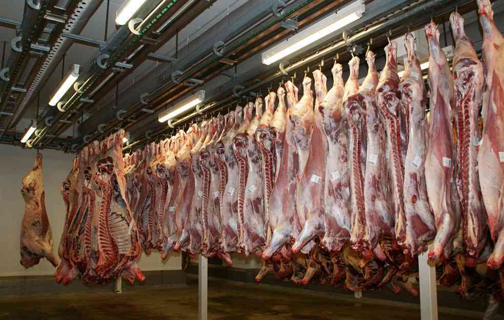 Proizvođači goveda i svinja u Srbiji: „Farme propadaju, potrebna hitna pomoć države“