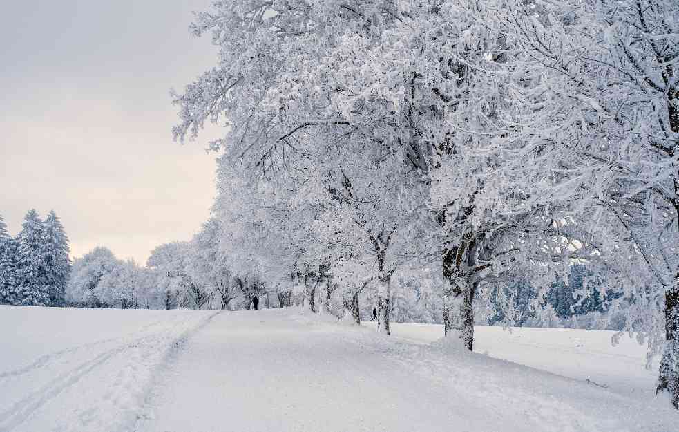 TEMPERATURA ĆE ČAK IĆI I DO -20 STEPENI, EVO I KADA TAČNO: Stižu HLADNI DANI, spremite se DOBRO