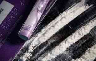 HAPŠENJE SRBA U HAMBURGU: Devetorica uhapšena zbog šverca 137 kilograma kokaina, krili ga ispod dasaka