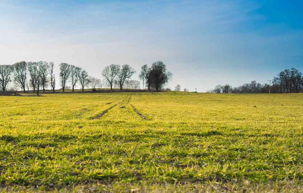 Najskuplji hektar u Bačkoj čak 31.900 evra, na istoku Srbije ima i za 300 evra