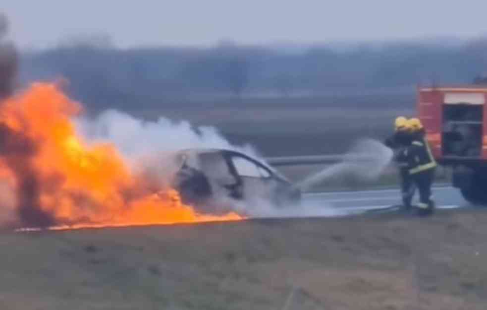 STRAVIČAN požar na auto-putu Beograd-Novi Sad: Plamen GUTA automobil, gust dim se širi (VIDEO)