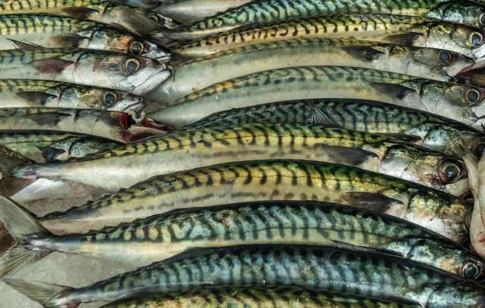 OVA VRSTA NAJVIŠE POSKUPELA: Više cene ribe zbog početka uskršnjeg posta