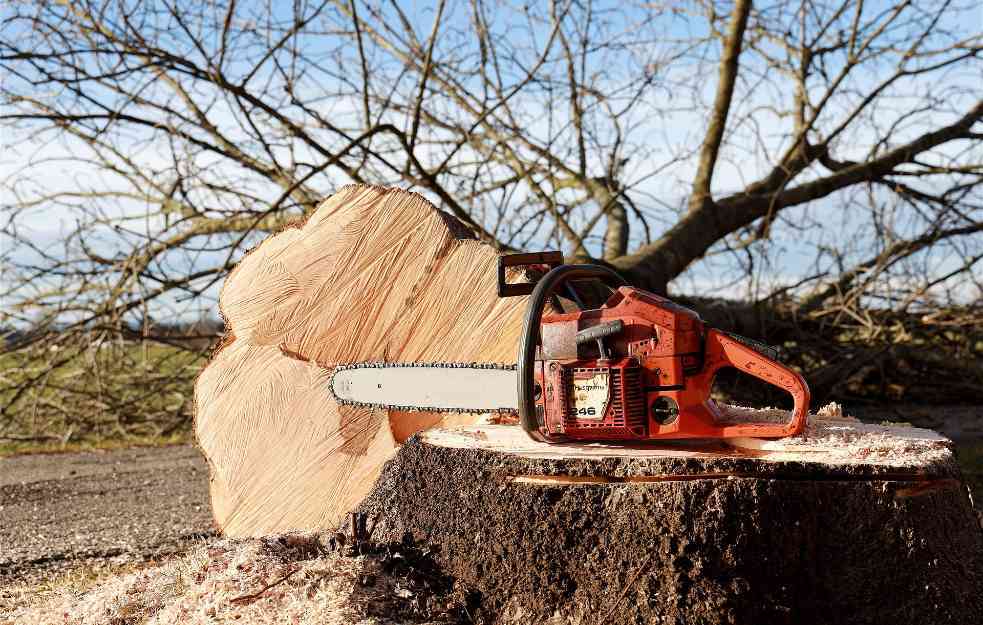 Radnika iz BiH u Austriji usmrtilo drvo