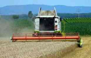 LEPE VESTI ZA NAS? Hoće li Srbija imati rekordan izvoz pšenice?