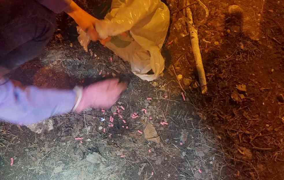 SRAMOTA: Narod golim rukama skuplja otrove na Karaburmi!