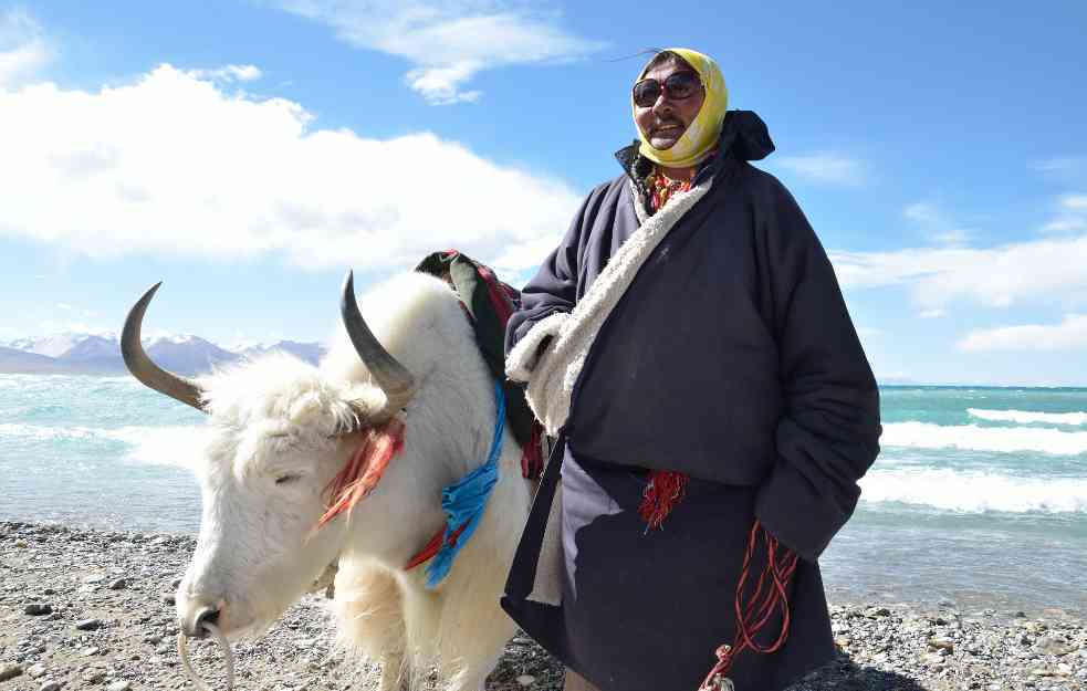 Istraživanja pokazala da su Tibetanci pili mleko i pre tri hiljade godina