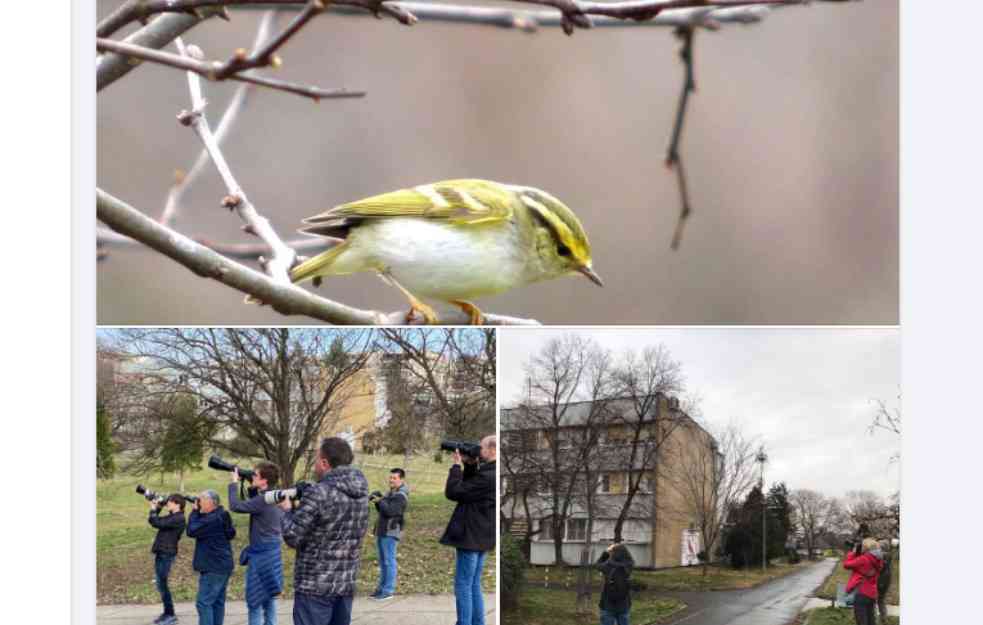 IZ BLOKA 70 IZVIRIVALI DA VIDE ŠTA SE TO ZBIVA: Puno ljudi s fotoaparatima došlo da slika neobičnu pojavu (FOTO)