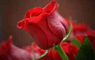 SUROVA <span style='color:red;'><b>OLIMPIJADA</b></span>