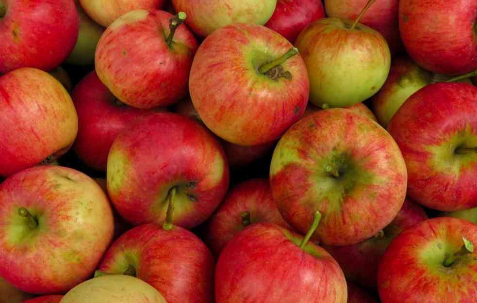 RAT U UKRAJINI UTICAO I NA JABUČARE: Gde srpski voćari plasiraju jabuke?