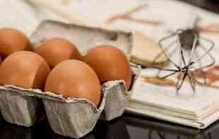 ŠTA JE BELA SLUZ U ŽUMANCETU? Da li je takvo jaje bezbedno za jelo?