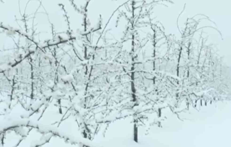 NAJNOVIJE UPOZORENJE RHMZ-a: Novi nalet snega stiže u Srbiju