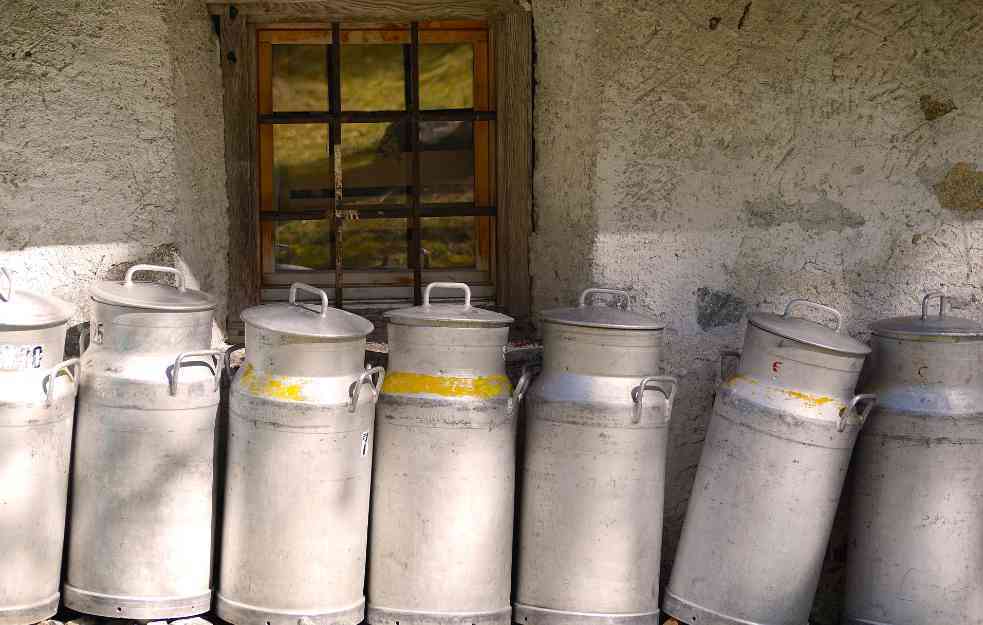 Stočari pozivaju mlekare: Poklanjamo 2,4 t mleka da prerade u humanitarne svrhe