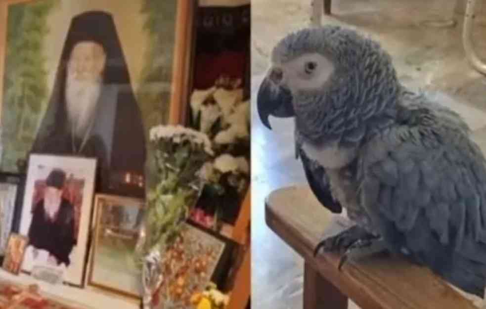 NEVEROVATNA SCENA NA SVETOJ GORI : Papagaj izgovara molitve 30 godina posle smrti monaha koji ga je čuvao (VIDEO)