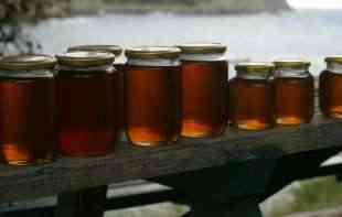 PROCENE PČELARA ZABRINJAVAJUĆE: Cena bagremovog meda ove godine i do 1.800 dinara za kilogram