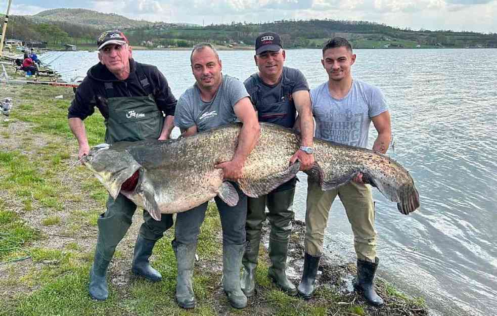 Ribolovac iz Kragujevca upecao soma teškog 90 kilograma 