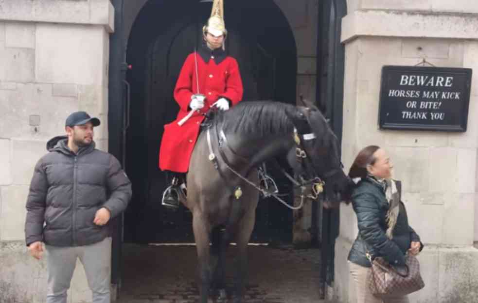 Konj kraljeve garde napao turistkinju (VIDEO)
