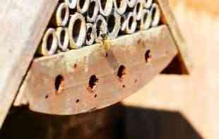LETI KAO PRAVA: Stvorena prva robotska pčela koja može da leti kao prava?