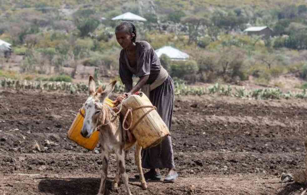 UGASILO SE NAJMANJE 700 ŽIVOTA: Od gladi umrle stotine ljudi u Etiopiji, UN i SAD prekinule pomoć u hrani