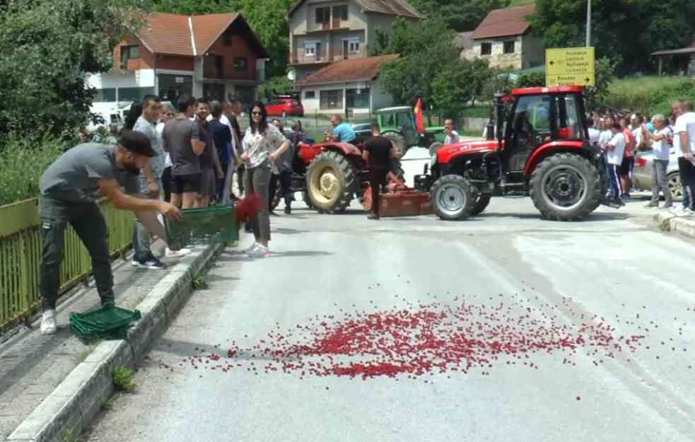 POČELI PROTESTI MALINARA: U Brusu blokirali magistralni put, u Arilju dali rok od 48 sati da reše problem cene!