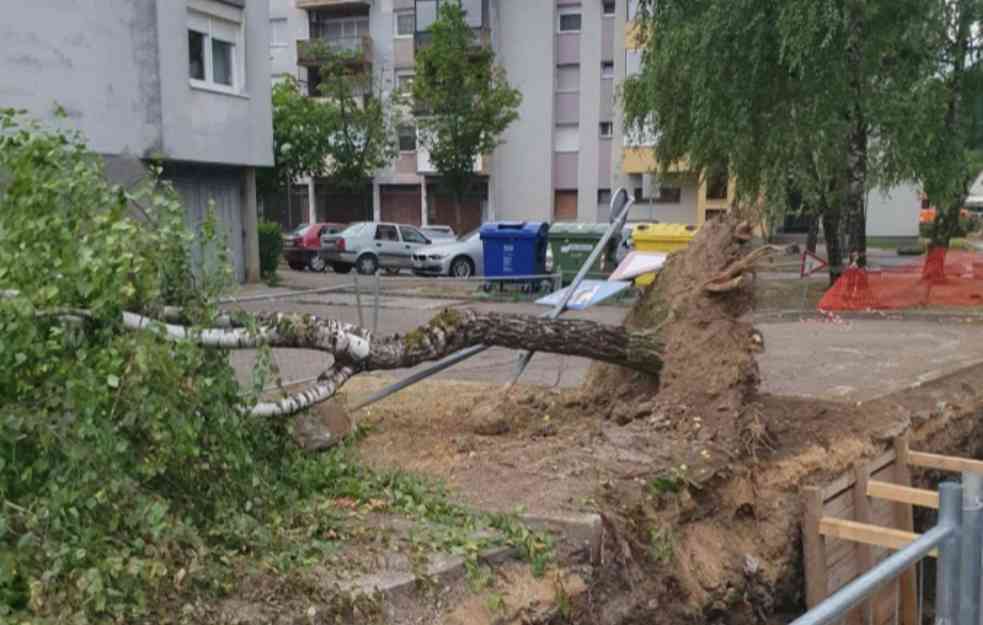 Snažno nevreme zahvatilo je jutros Hrvatsku: Vetar čupao stabla iz korena