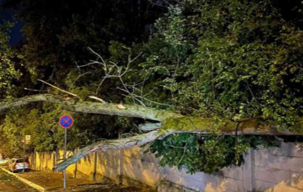 Zbog nanete štete nakon orkanske oluje u Novom Sadu zatvoreni svi parkovi