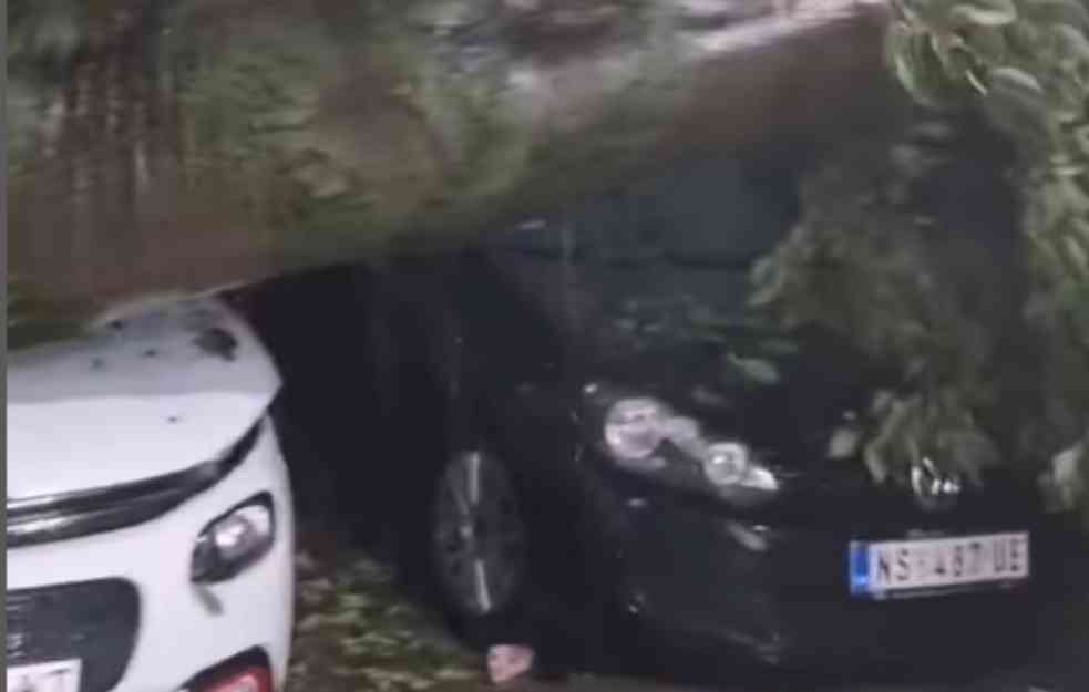 NEVREME PROTUTNJALO SUBOTICOM : Svuda poplavljene ulice, morale da rade testere (VIDEO)