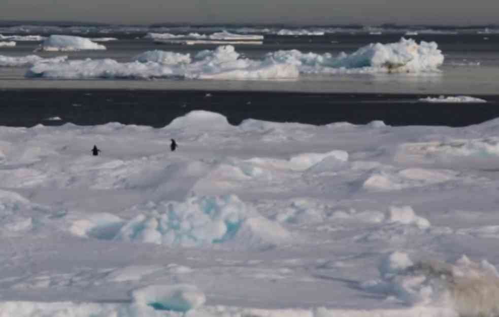 ŠTA SE DOGODILO NA JUŽNOM POLU: Ledena ploča veličine ARGENTINE jednostavno NESTALA s Antarktika!  