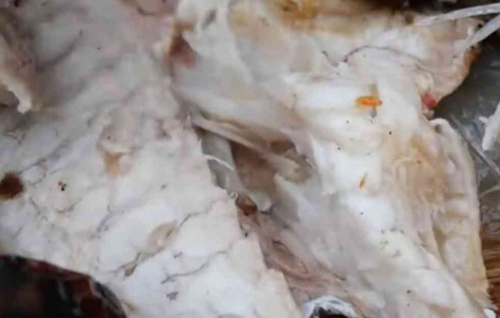 EFEKAT SLIČAN KAO DROGA: Nikad nemojte jesti glavu ove ribe, može izazvati halucinacije