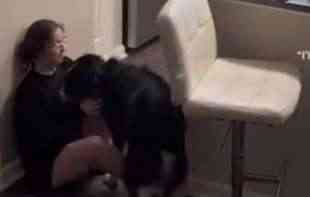 Snimak kako je pas spasio život vlasnici: Obučen da je zaštiti u svakom trenutku