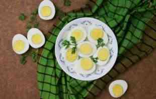 Pašteta od kuvanih jaja: Jeftino, a zdravo