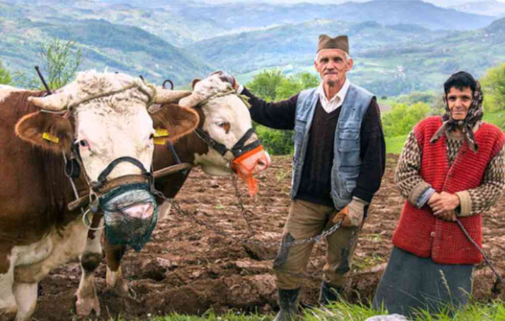 KO JE BIO DOMAĆIN, ČOVEK SA VELIKIM D? U zlu nepokoran, u dobru ponizan, poštuje roditelja, dočekuje kuma....