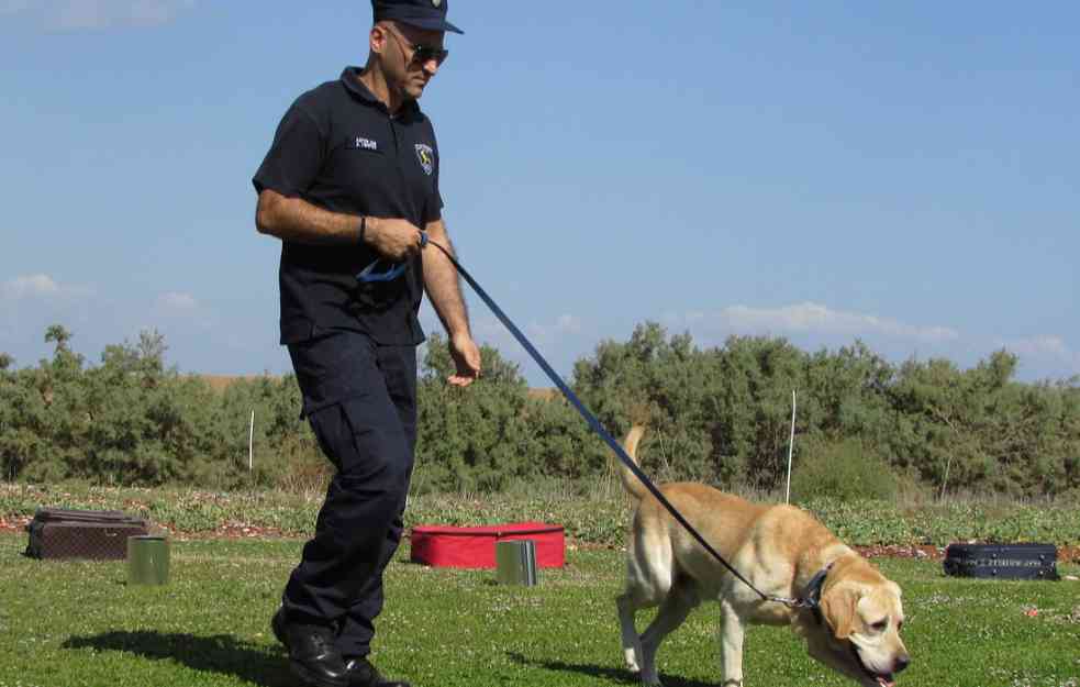 ČOVEKOV NAJBOLJI PRIJATELJ! Policijski pas našao ženu u polju kukuruza nakon udesa, time joj SPASAO ŽIVOT!