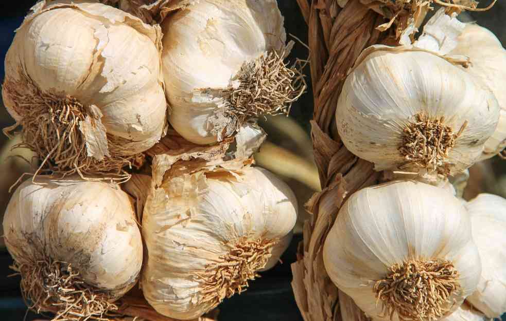 Najskuplji beli luk: Cena ide i do 1.500 dinara