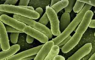DUGOROČNA STUDIJA POKAZALA: Kako „dobre bakterije“ postaju <span style='color:red;'><b>otpor</b></span>ne na antibiotike?