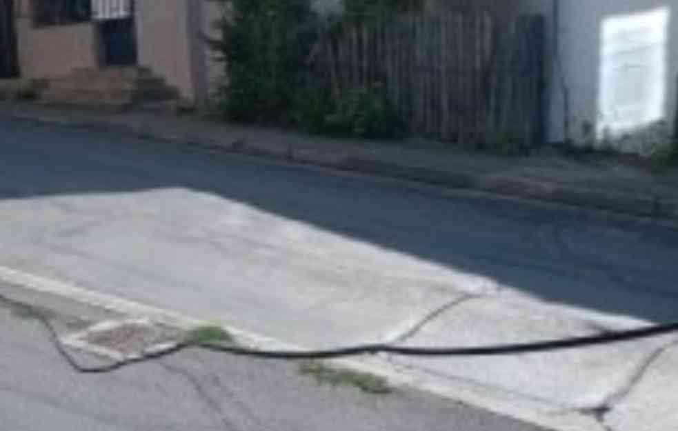 GOLE ŽICE VIŠE SE NE VUKU PO ULICI! Portal Glasa javnosti ukazao na veliku OPASNOST, nadležni reagovali! (FOTO)