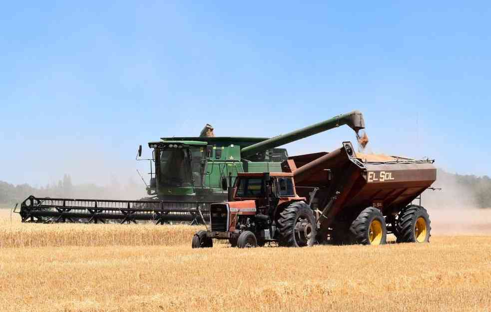 Poljoprivrednici na gubitku zbog pšenice: Sledeće godine ne očekivaju dobar rod