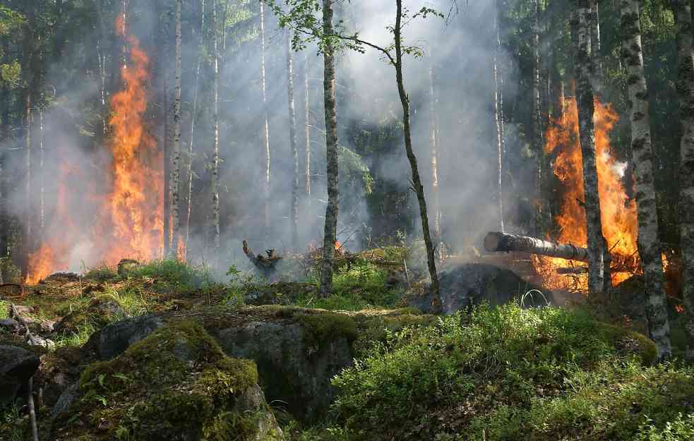 Ljudi uništavaju biodiverzitet planete