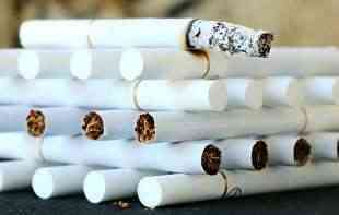 Kako <span style='color:red;'><b>cigarete</b></span> zaista uništavaju pluća?