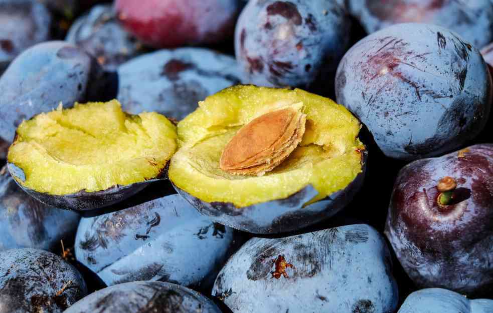 Hrvatska: U šljivama iz Srbije, pronađen je pesticid jako OPASAN po zdravlje ljudi!