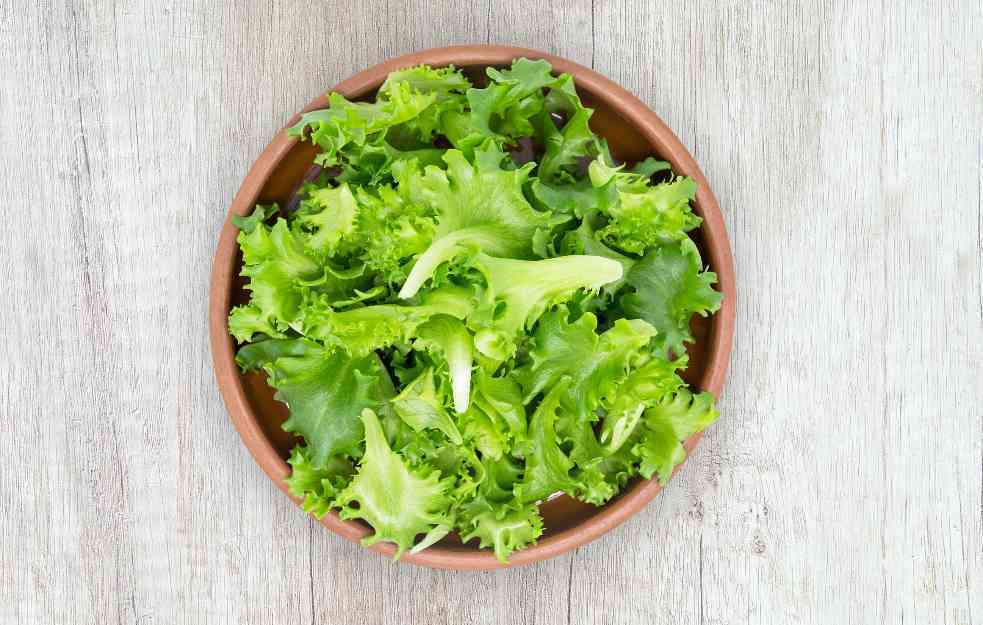 Otkrivamo par trikova kako da vam zelena salata uvek bude sveža