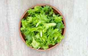 Otkrivamo par trikova kako da vam zelena salata uvek bude sveža