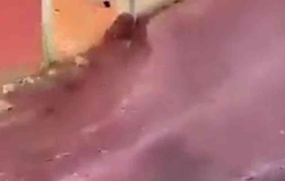 CRVENA REKA TEKLA ULICAMA: Poplava koju svet do sada nije video (VIDEO, FOTO)