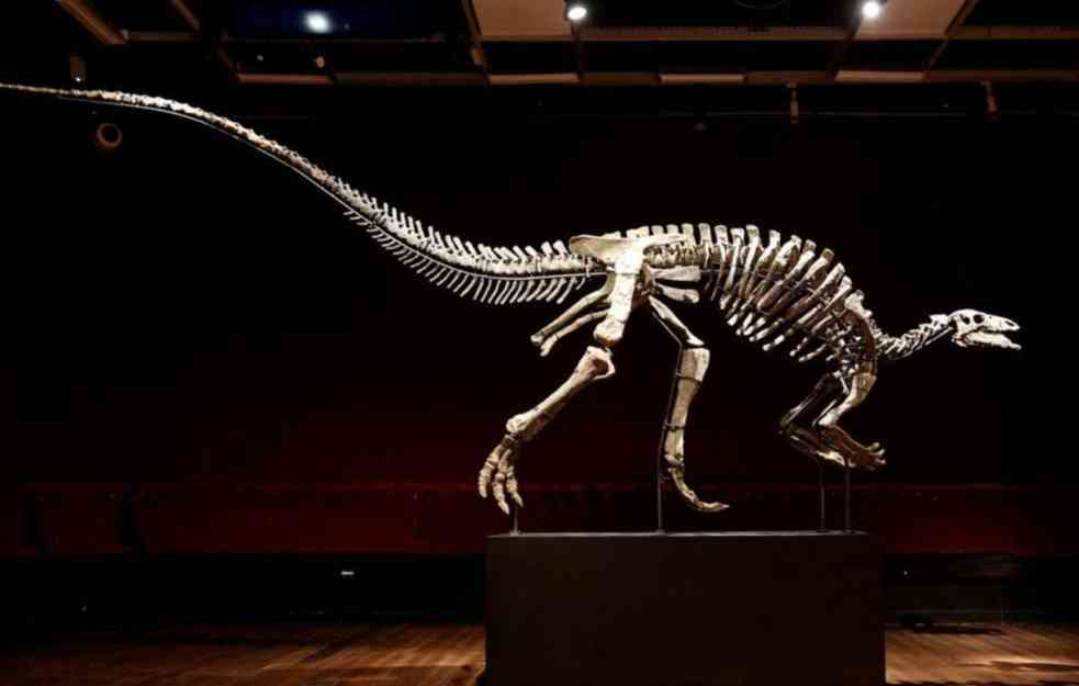 Ovo se retko viđa! Dinosaurus poznat kao "Bari" na aukciji u Parizu