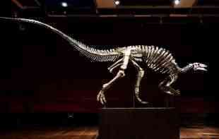 Ovo se retko viđa! Dinosaurus poznat kao Bari na aukciji u Parizu