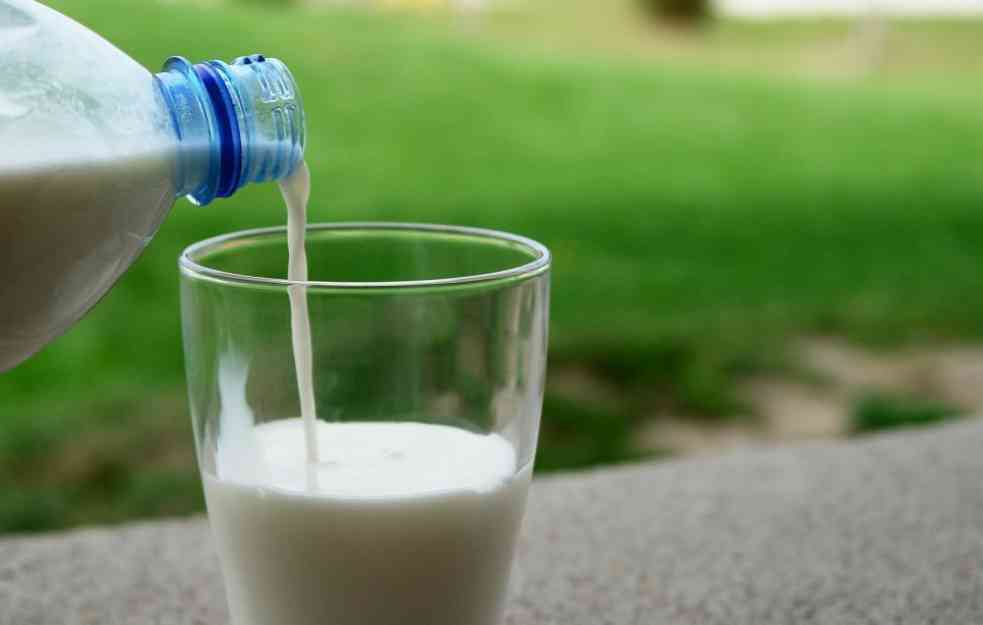 ROK PONOVO PRODUŽEN: Srbija opet ne spušta nivo dozvoljenog aflatoksina u mleku